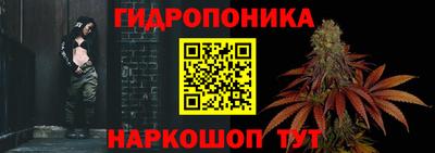 сатива Балахна