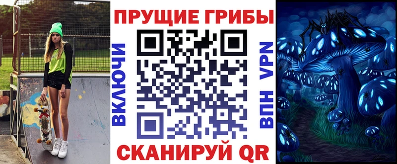 наркота Борзя Галлюциногенные грибы Psilocybine cubensis