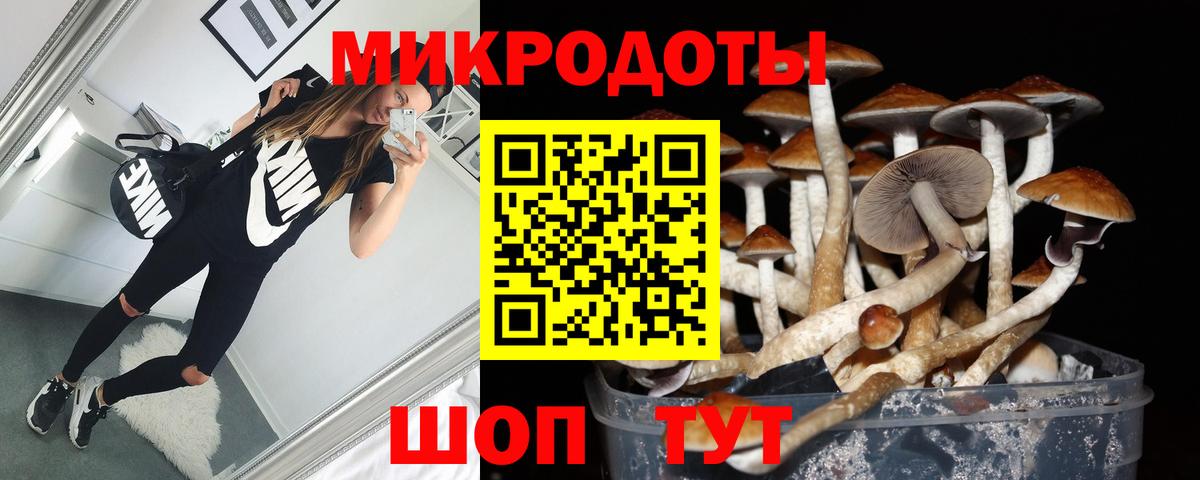 Галлюциногенные грибы Psilocybine cubensis Борзя